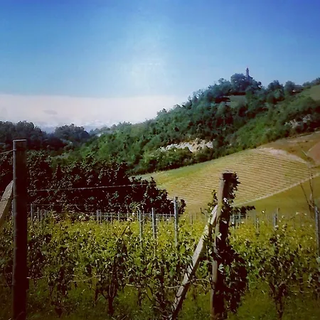 Teresa Al Belvedere Rooms&holidayapartments Camere&appartamenti *